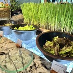 Banyubiru Restaurant - 