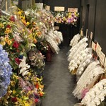 北新地 三日月 - 