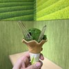 抹茶スイーツ館 茶和々 錦店