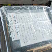高麗橋桜花 - 