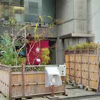 高麗橋桜花 - 