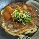 はなまるうどん - カレーうどん、アップ