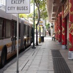 THE PIG AND THE LADY - 