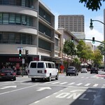 THE PIG AND THE LADY - 