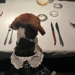 280207782 - 「まだかなぁ」