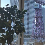 RHC CAFE - こちらが色が変化してました！7色⁉️