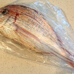 魚幸水産 - この大きさ＆鮮度で1尾700円！！