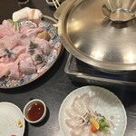 泳ぎふぐ専門 ふぐ吉 - 