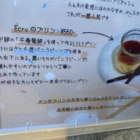 Ecru 117 -  Ecru 117 -