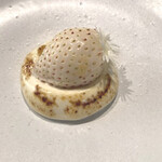 misola - ミルキーべリー　ヴィンサントのザバイオーネ