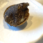 misola - トピナンブール