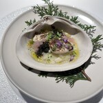 レフェルヴェソンス - 