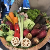 レフェルヴェソンス - 