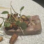 TOKi - 土を感じるテリーヌ