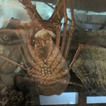 居酒屋脇田丸 - 