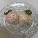 えひめ中央ひなたCAFE - 白いイチゴ　10個入り　なんと700円！