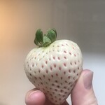 えひめ中央ひなたCAFE - イチゴもこれから旬を迎えるのです♪^ ^