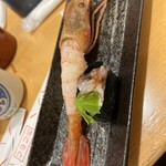 回転寿し トリトン 円山店 - 