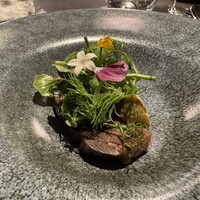 COCCHI - 