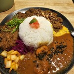 カレー サファリ - 