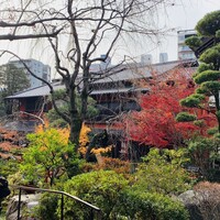 東京 芝 とうふ屋うかい - 