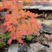 東京 芝 とうふ屋うかい - 