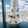 天空LOUNGE TOP of TREE 東京スカイツリータウン・ソラマチ店