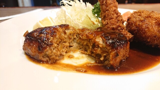 Yoshoku Akira photo 5