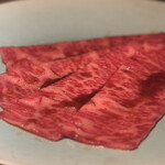 USHIGORO S. NISHIAZABU - 