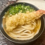 2024.12.  かけ+海老天