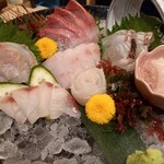 食肴旬菜 富一 - 