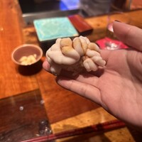 初音鮨 - 