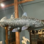 空想街カフェ 空飛ぶ魚 - 