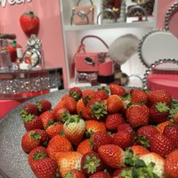 ロビーラウンジ 「マーブルラウンジ」 ヒルトン東京 - 