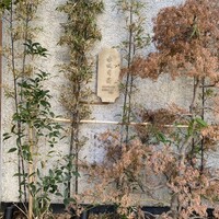 赤坂司宴 - 
