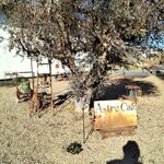 アストルカフェ - 