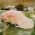 地魚料理・鮨 佐々木 - 料理写真: