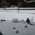 くつきそば 永昌庵 - 