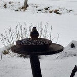 くつきそば 永昌庵 - 