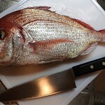 魚幸水産 - 鱗や内臓は自分で処理しましょうね。ググればやり方が出てくるので❗