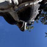 串焼き BUBU-TON - 