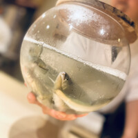 料理屋 植むら - 