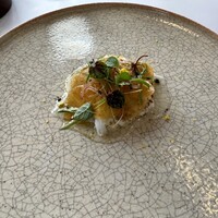 MAISON LAFITE - 