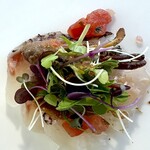 カステリーナ - 真鯛のカルパッチョ