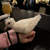 BAR 21 - 