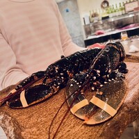 ボニュ - 