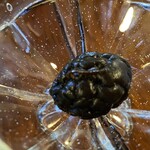 鯨荘 塩町館 - 慈久庵甘露茶梅Zoom