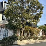 La maison Rose - 