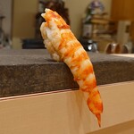 寿司赤酢・望月 - 車海老握り