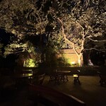 RESTAURANTE FERNANDO - 